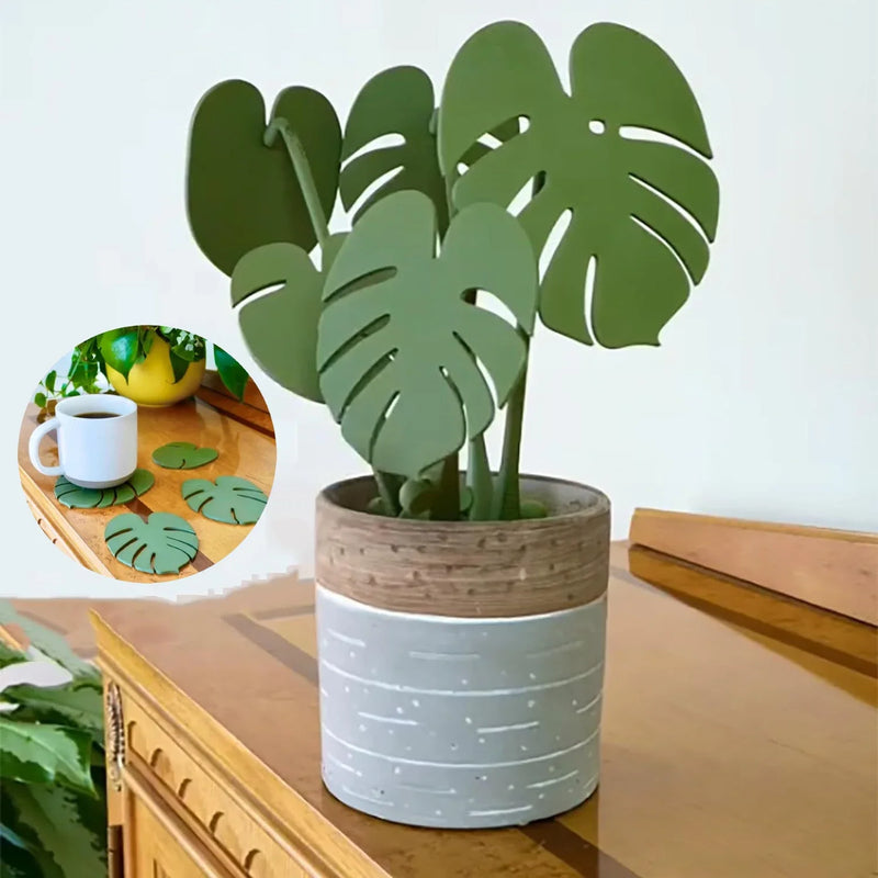 Monstera Jungle Drink Coasters