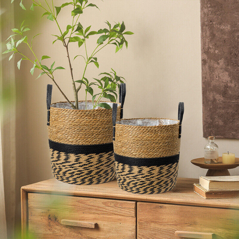 Natural Wicker Basket for Plants