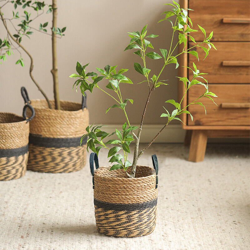 Natural Wicker Basket for Plants